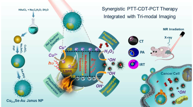 janus纳米粒子实现光热疗法,化学动力学疗法和光催化疗法协同三联用